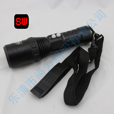 SW3204���F(xi��n)��(ch��ng)�����,��yʽ�β��ι�Դ