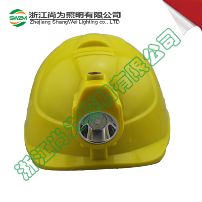 SW2203������ȫñ��